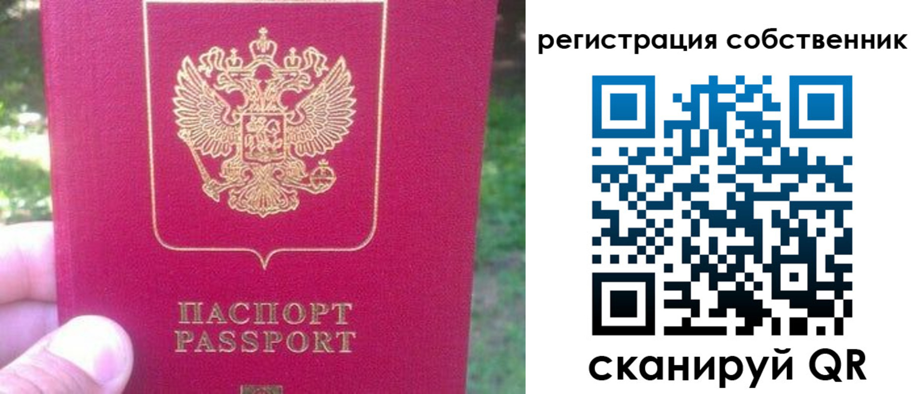 временная регистрация 2025 в Моршанске